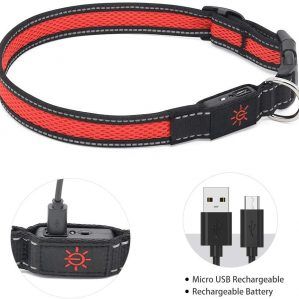 collar led para perro con batería recargable con usb marca the small moment