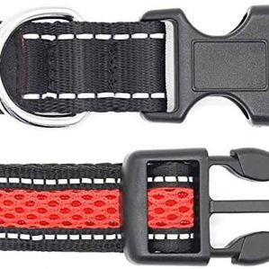 collar led para perro con broche de seguridad tipo clip rojo