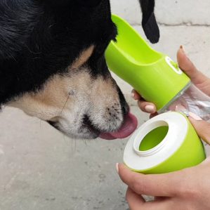 botella de agua para perro portátil color verde de la marca The small moment con compartimento para premios de mascota
