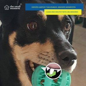 pelota con picos con función de limpieza dental