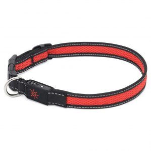 Collar led para perro rojo recargable usb