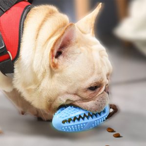 Perro jugando con dispensador oval con cuerda para perro de color Azul