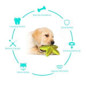 juguete chillón para perro que ayuda a ejercitar la mandíbula, salud dental, entrenamiento IQ, Juguet chirriante, libera estrés, elimina cálculo, limpieza dental the small moment