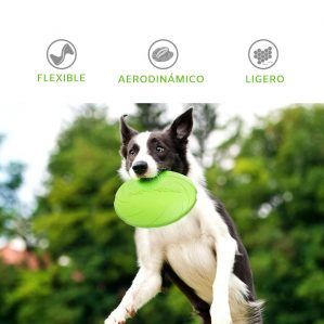 frisbee para perros en México comrpar aquí en The small moment son flexibles, aerodinámicos y ligeros