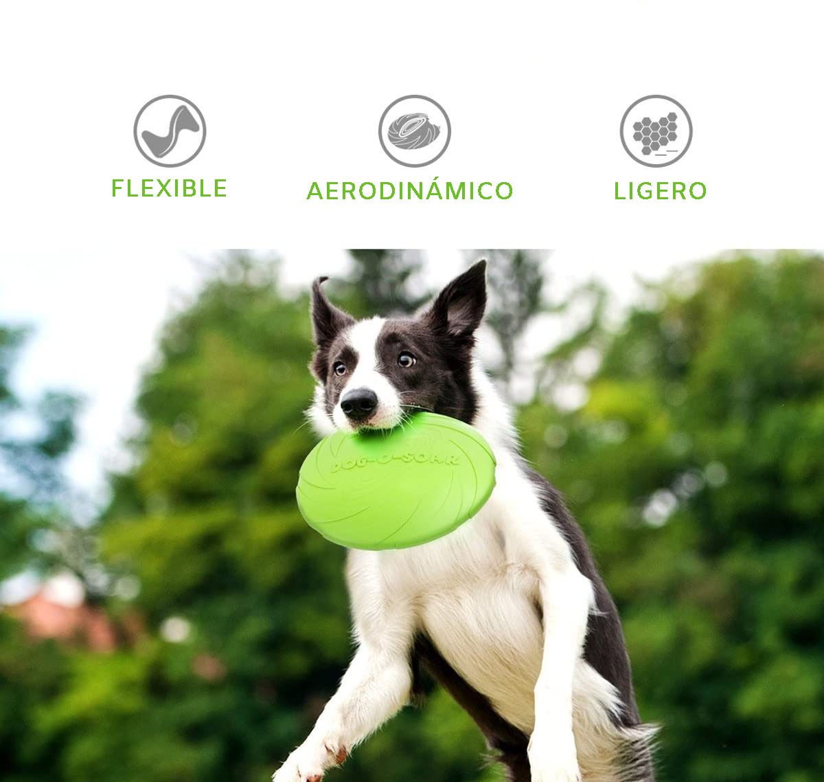 yyd Frisbee para perros, disco aerodinámico de alto vuelo para perros y  cachorros, frisbees ligeros y flotantes para perros, para buscar, tirar y