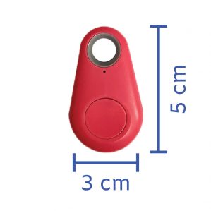 size of a dog tracker the small moment